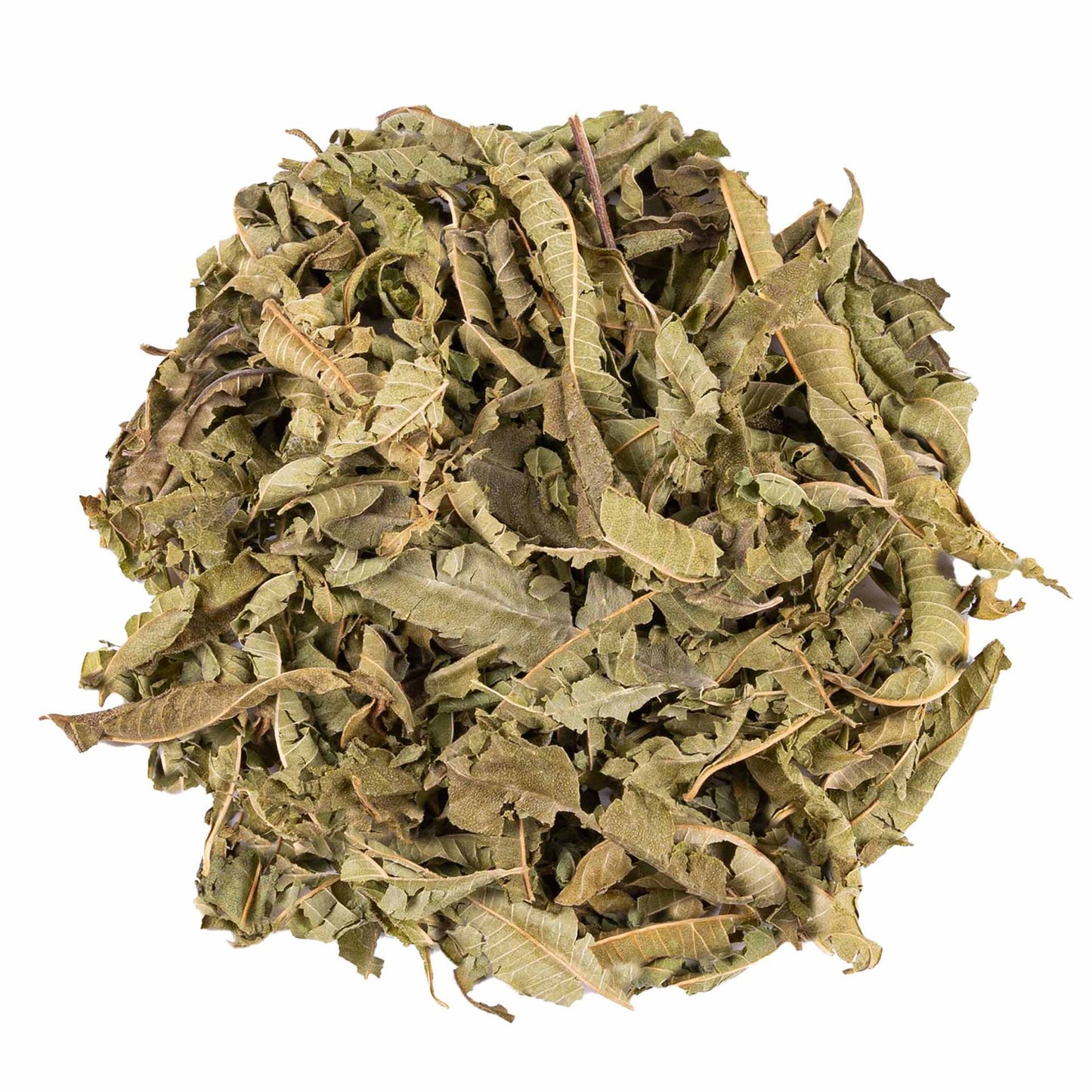 VERVEINE